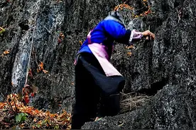 贵州背尸人：徒手将棺材背上悬崖，三天不吃不睡，峭壁上全是棺材图片