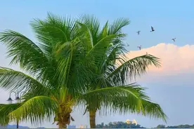 小众又高级的冷淡风文案图片