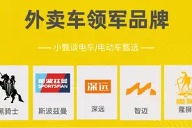 外卖电动车十大品牌出炉：小品牌强势崛起，雅迪、台铃排五名开外图片