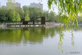 石家庄有一座省四星级公园，环境优美，植被众多，是休闲的好去处图片