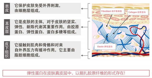 鲣鱼胶原蛋白肽的功效与作用 鱼胶原蛋白肽的功效与作用是什么