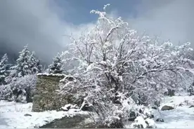 史料记载，我国历史上一共发生四次大规模的严寒气候。图片