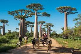 马达加斯加，是一个怎样的国家？图片