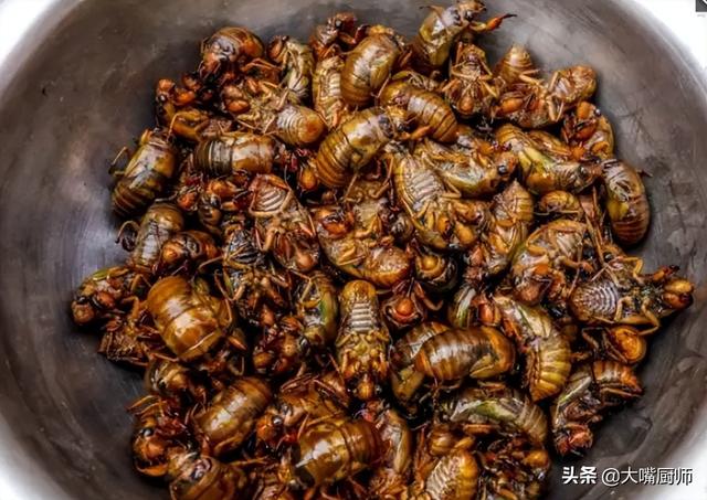 金蝉虽好吃，有没有营养？常吃对身体好不好？为了健康，建议看看