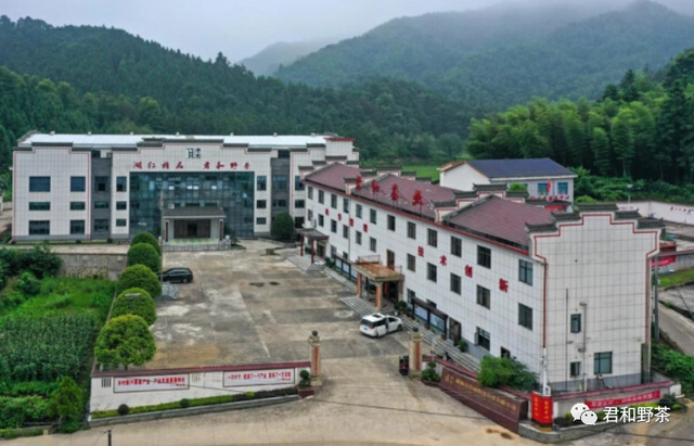 【君和茶品】桃源工夫茶(图5)