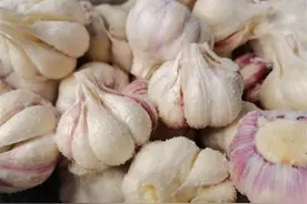 腌大蒜的家常方法，用最简单的方法腌制，我们都喜欢吃原味的咸蒜图片