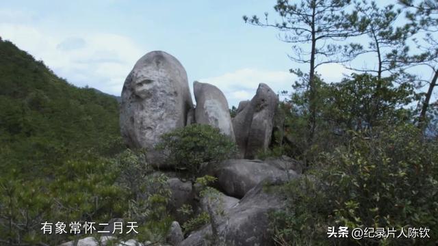 爱奇艺热播：《大美江南》绘就江南山水的诗意长卷