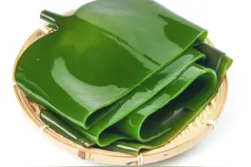 药食同源，今天给大家介绍一个食物-海带。图片