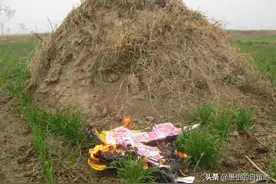 乡村纪实：好闺蜜胖妞，经历两次婚姻，生命最终像蒲公英一样凋零图片
