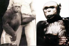 苏联欲研究“半兽人”部队，接近突破科学家却被流放，实验体成谜图片