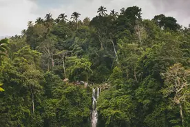 老谋深算，又随性自在的星座，他们如同狐狸般狡猾，一直惹不起图片