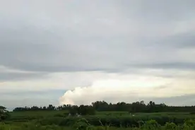 98年女生，入职社区工作者10个月是什么感受？图片