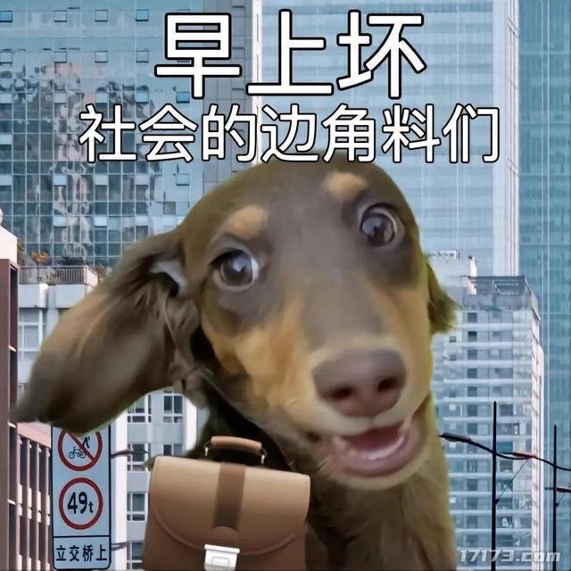 米哈游赌上崩坏IP的新作，其实并非想跟腾讯抢人？