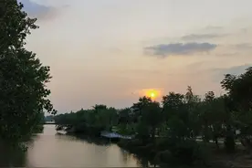 血脉里的光芒图片