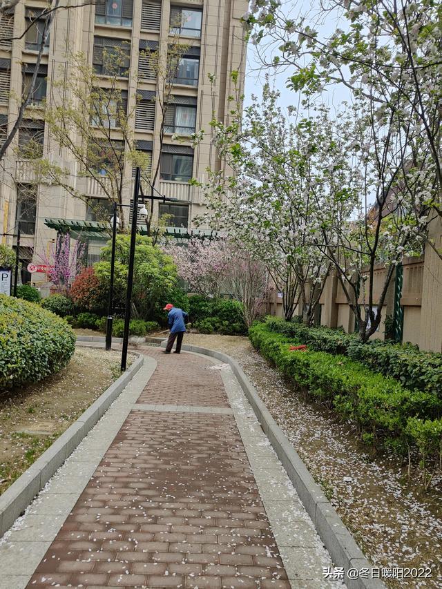 （情感美文）记忆深处的一块糖