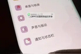 OPPO也有侧滑返回手势特效了 #oppo全局主题 #oppo主题推荐 #oppofindx3 #oppo主题 