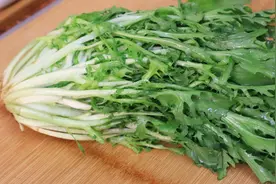 春天要多吃苦菊，简单一凉拌就很美味，开胃爽口，营养又解馋图片