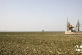 10个温柔暖心句子，总有那么一种美好，让你永远记得图片