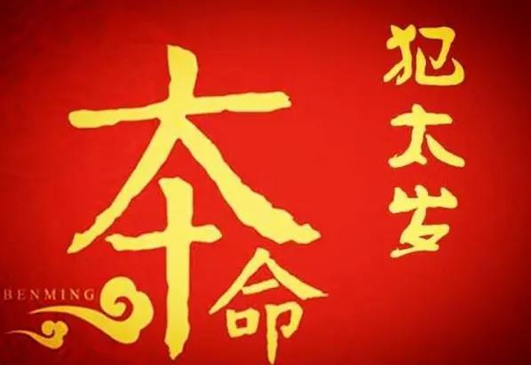 文章圖片5