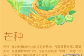 二十四节气之——「芒种」图片