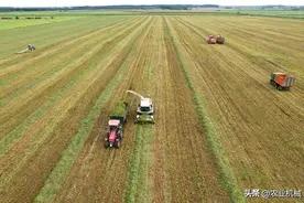 玉米青贮收获机会井喷式增长吗图片