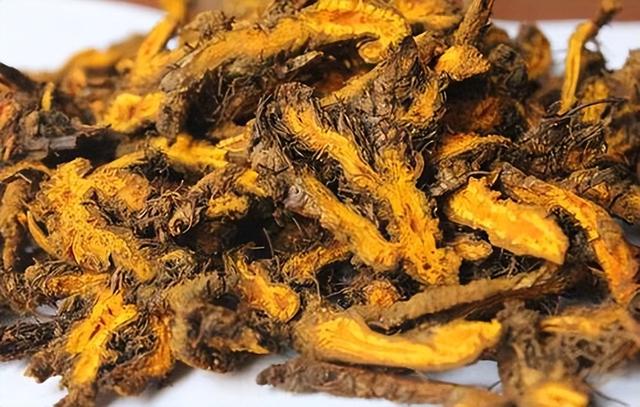 牙龈溃疡怎么办