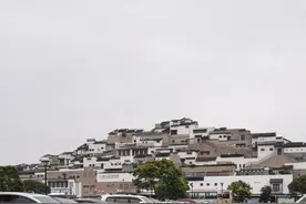 强烈推荐普陀山一日游攻略（适合6到65岁友友）图片