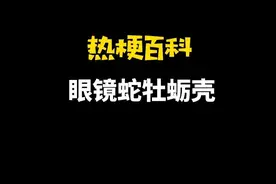 「热梗百科」“眼镜蛇牡蛎壳”是什么梗？图片