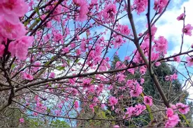 简直无法理解，为什么现在的男同性恋会越来越多图片