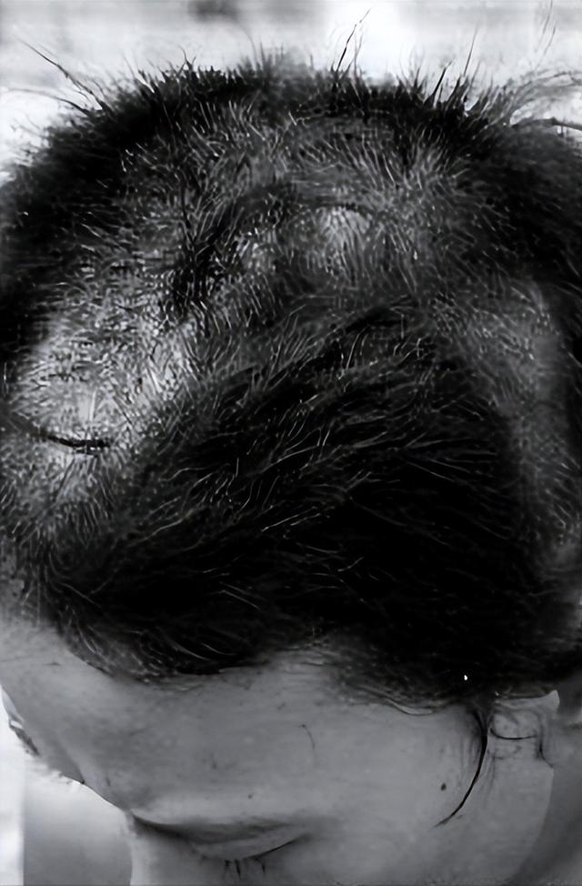 杨绛曾一度在外文所所内扫厕所,晚间在宿舍被剃"阴阳头".