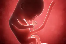 关于孕期的那些事图片