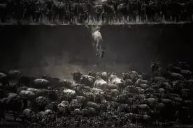 杭州码农，太惨了图片