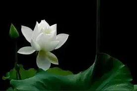 顿悟“空”的四个境界：色即是空，万象皆空，空不空，了义空图片
