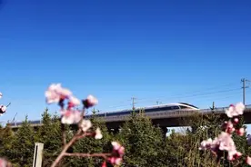 对！高铁上可以点外卖！能送到座位的那种！图片