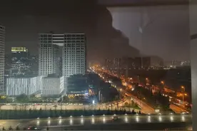 我想要两颗西柚图片
