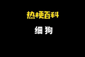 「热梗百科」“​细狗”是什么梗？图片