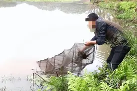 禁捕水域捞螺蛳2900公斤 男子判刑八个月图片