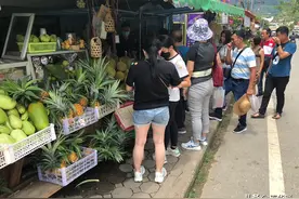 物美价廉！马来西亚及新加坡游客蜂拥前往泰国品尝榴莲图片