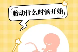 四个月的胎儿会动吗？图片