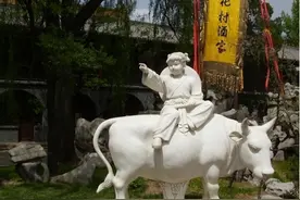 同为玻汾，“黄帽”“红帽”差哪了？老山西人：差远了，搞懂再喝图片