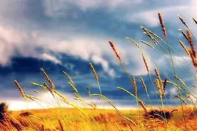 「配乐朗诵」在那遥远的地方图片