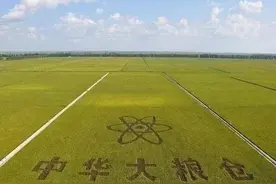 中国大量进口外国粮食，国内粮价不提高，可苦了害了农民图片