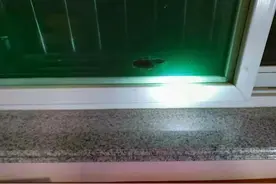 西安灭鼠公司告诉你老鼠是怎么进入家里的？图片