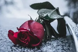 心理测试 超准测两人今生的关系！你们究竟有没有缘分？图片