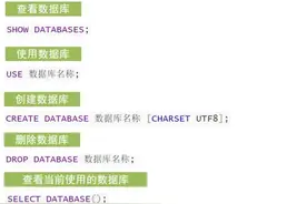 如何从零开始学SQL？图片