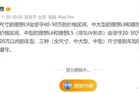 理想为何不造20万以下的车：不是不想，而是不能图片
