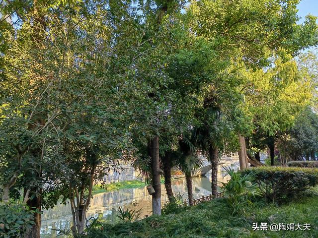 宫外孕会来大姨妈吗（宫外孕的时候大姨妈会有什么表现）