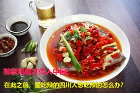 辣椒明朝才传入中国，在此之前，爱吃辣的四川人想吃辣的怎么办？图片