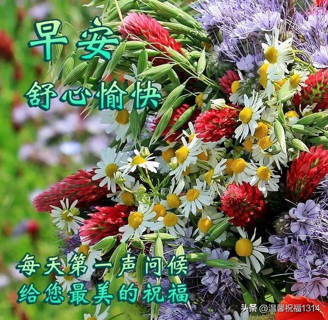每天早上好片大全温馨 早上好片祝福语大全