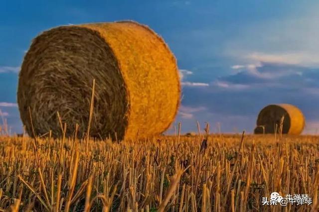 这是一个绝妙的讽刺，也是我们的警钟